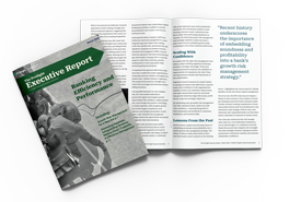 The cover of 'The Prolight Executive Report' on Banking Efficiency and Performance, with an inner page showing a quote about risk management.